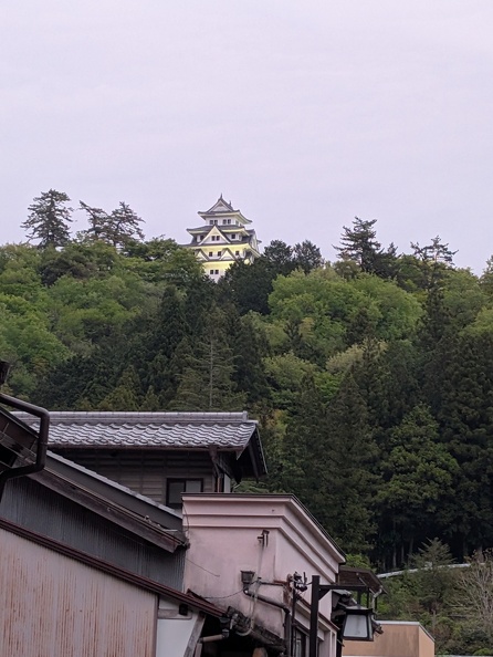 PXL_20250503_092907765.jpg