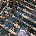 PXL_20250508_000024662