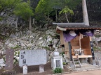PXL_20250509_074857134