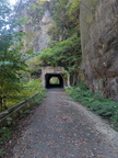 PXL_20261011_040318628